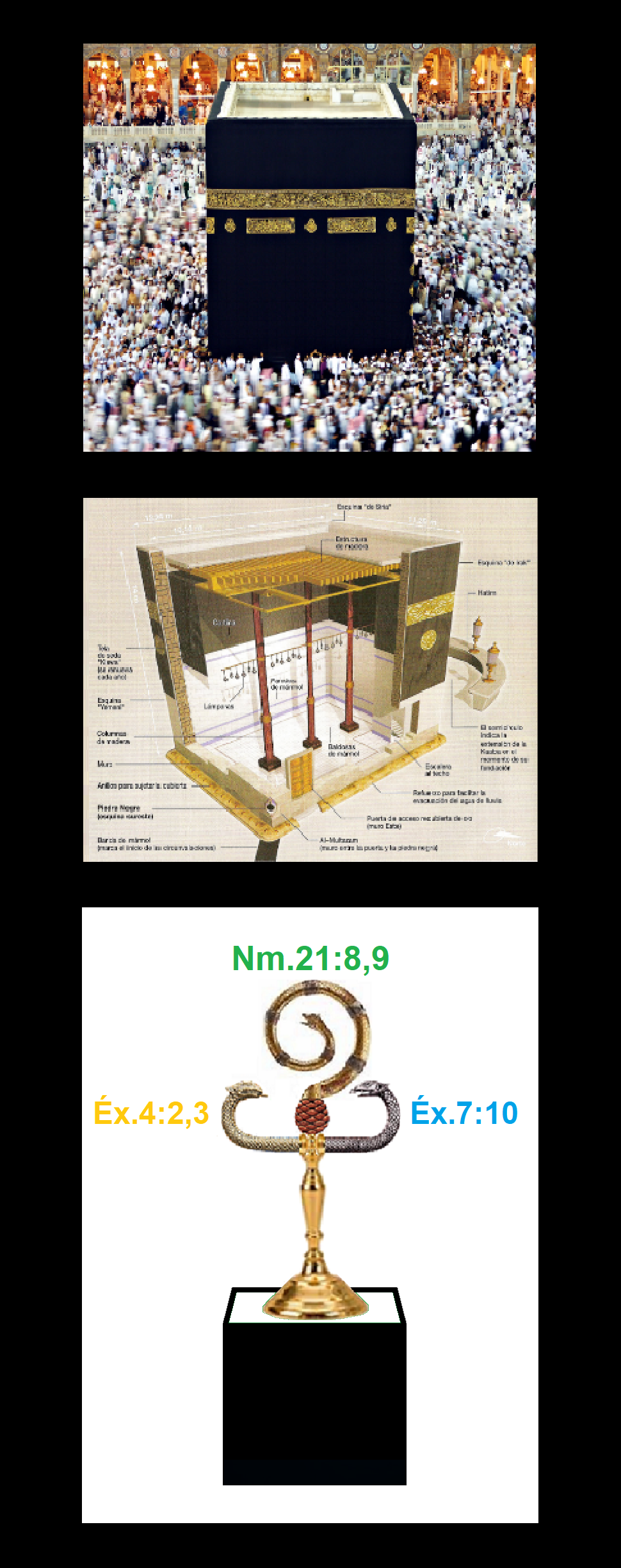 Imperio mundial de la profecia